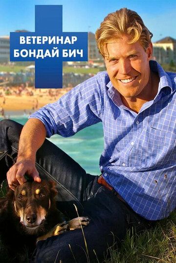 Ветеринар Бондай Бич
