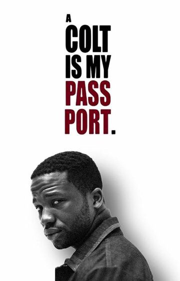 Постер фильма «A Colt Is My Passport»