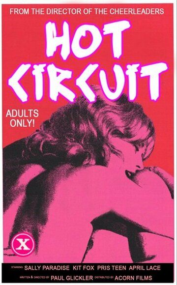 Постер фильма «Hot Circuit»