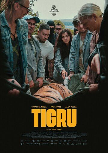 Постер фильма «Tigru»