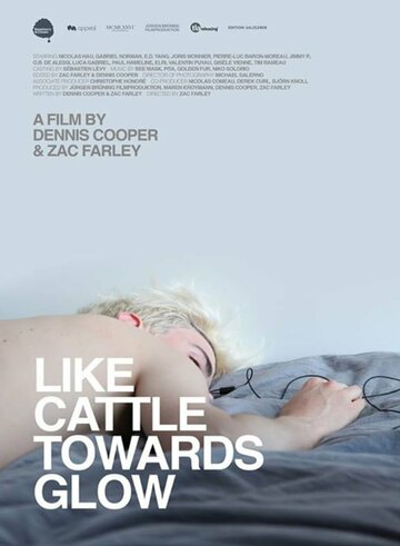 Постер фильма «Like Cattle Towards Glow»