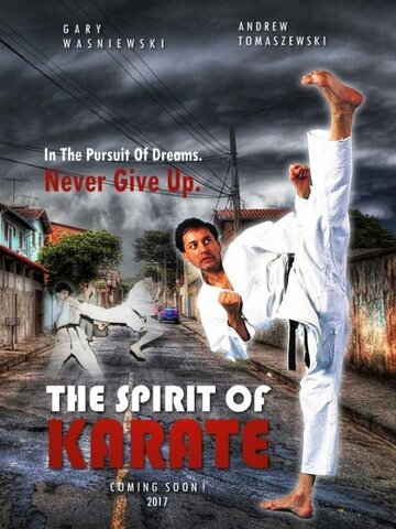 Постер фильма «Karate Spirit»