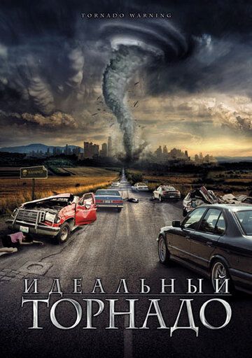 Постер фильма «Идеальный торнадо»
