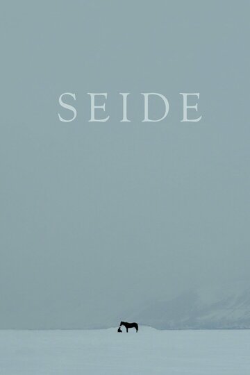 Постер фильма «Seide»