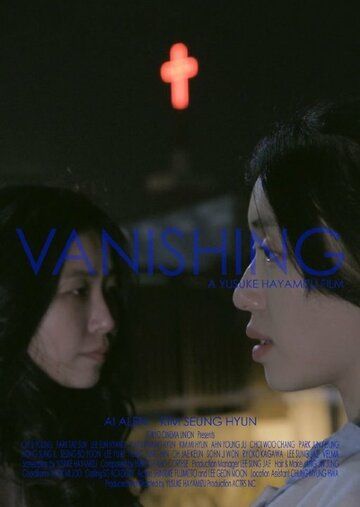 Постер фильма «Vanishing»