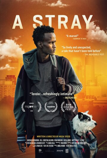 Постер фильма «A Stray»