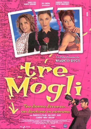 Постер фильма «Три жены»