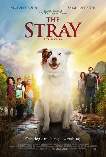 Постер фильма «The Stray»