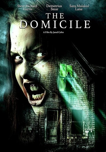 Постер фильма «Домициль»