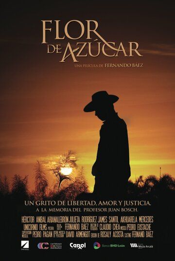 Постер фильма «Flor de Azúcar»