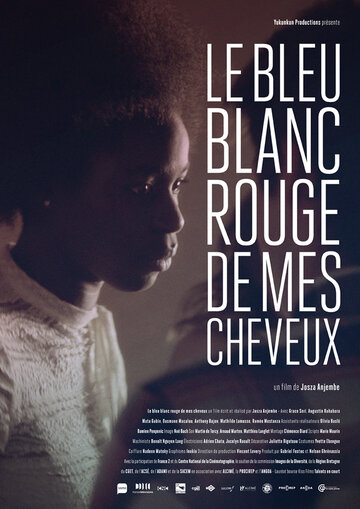 Постер фильма «Le bleu blanc rouge de mes cheveux»