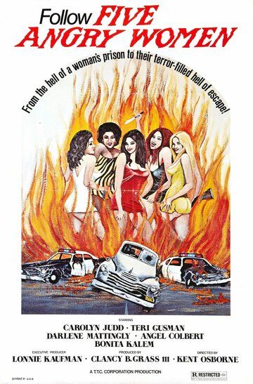 Постер фильма «Women Unchained»