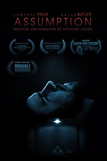 Постер фильма «Допущение»