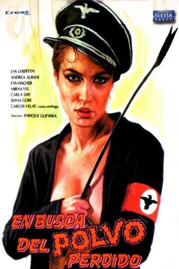 Постер фильма «En busca del polvo perdido»