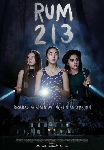 Постер фильма «Комната 213»