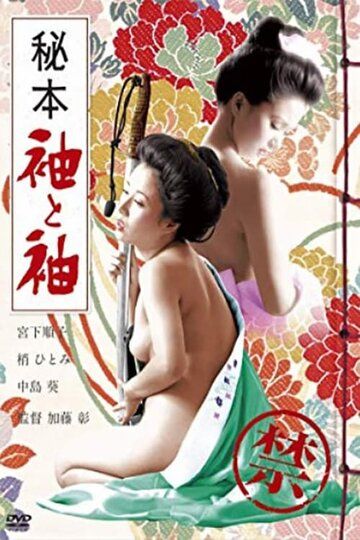Постер фильма «Тайная книга: Рукав и рукав»