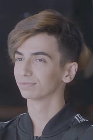 Дайлер