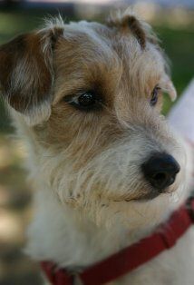 Frito