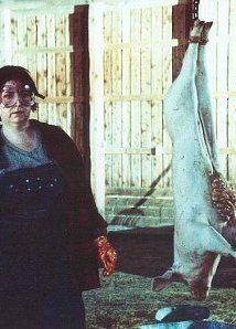 Кристи Уорд