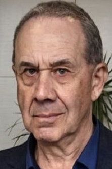 Владимир Дубровин